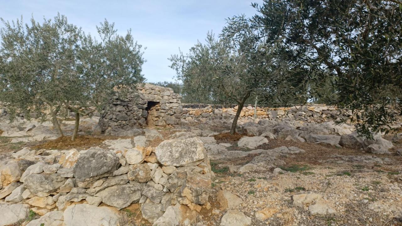 3Natura Avinyonet de Puigventós Exterior foto