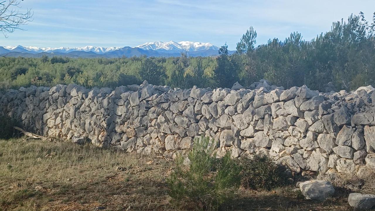 3Natura Avinyonet de Puigventós Exterior foto